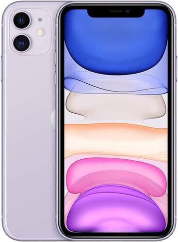 iPhone 11, Purple