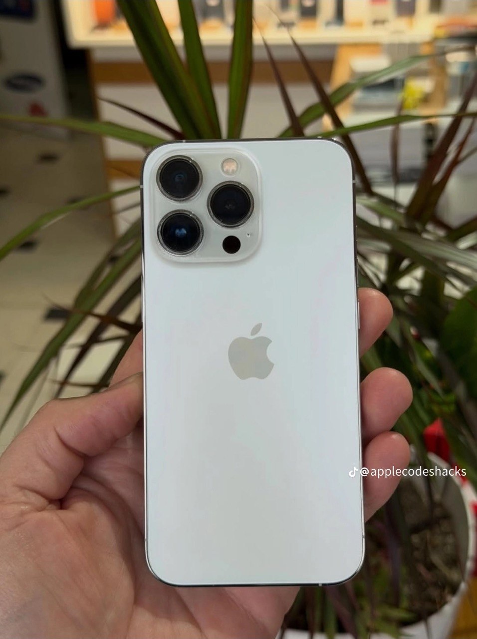 iPhone 13 Pro, Silver back